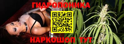 кокаин Моздок