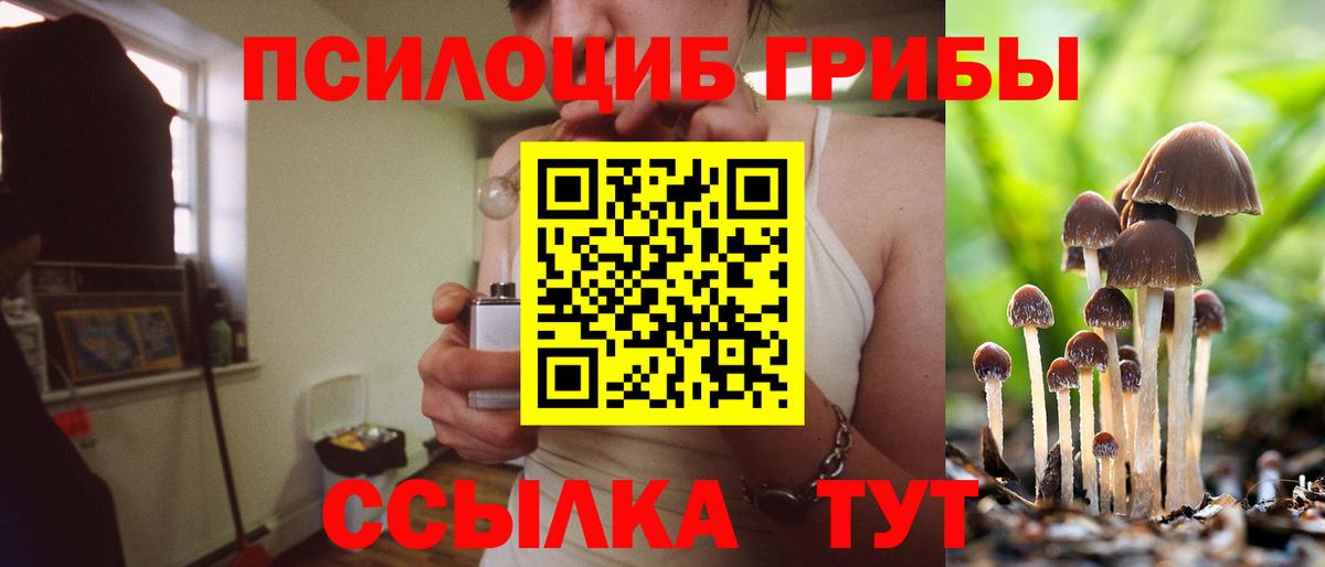 Ржев  Галлюциногенные грибы MAGIC MUSHROOMS  Вход с VPN  Галлюциногенные грибы мухоморы 